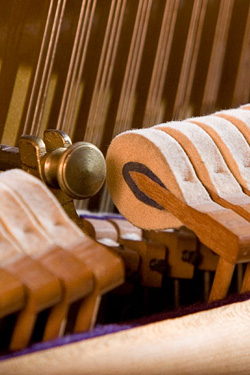 close up of piano hammers